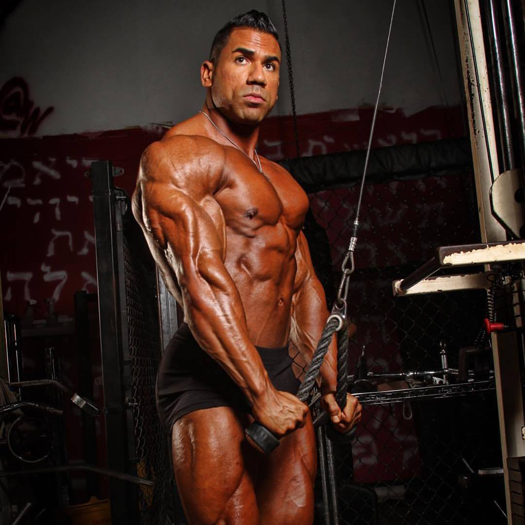 Bodybuilder Male Escort