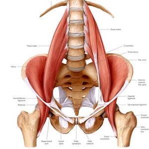 Trainer Dr. Vincent Catteruccia profile picture