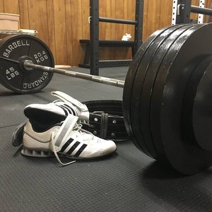 Trainer Martin Curran profile picture